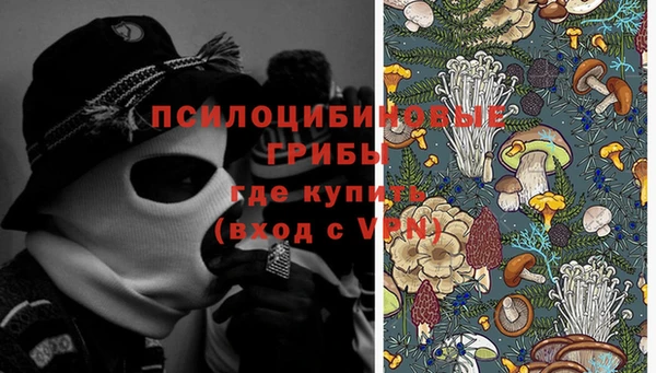 стафф Алексеевка